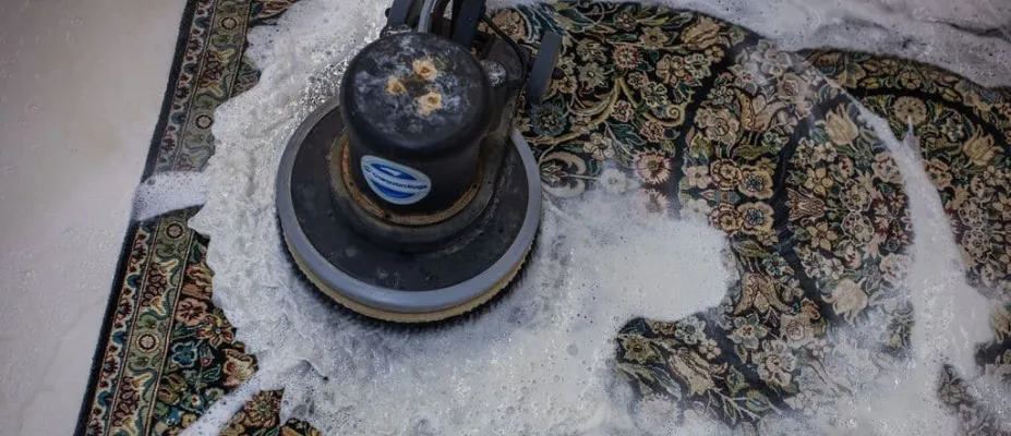 Professional Area Rug Cleaning